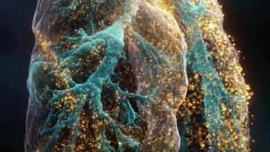 Photo of Vaping Is Destroying Young Lungs – Popcorn Lung, Collapsed Lungs & Worse Are Real Risks!