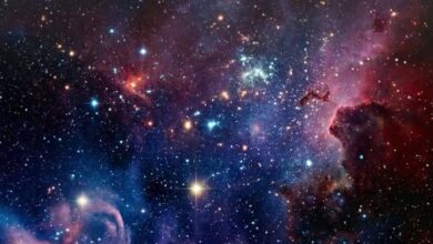 Photo of Tryptophan Was Supposed to Be Last… But It Ruled Earth BEFORE Life Even Started! Mind-Blown Discovery