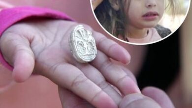 Photo of 3-Year-Old Toddler Picks Up ‘Pretty Stone’ – Turns Out to Be 3,800-Year-Old Egyptian Treasure!