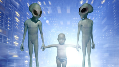 Photo of Only 39 Days Left: This Viral Countdown Says Aliens Invade Earth in November 2025