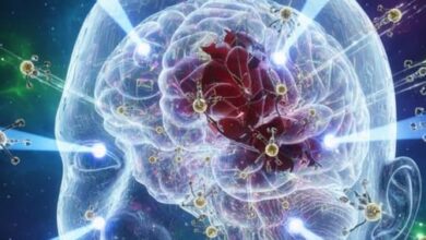 Photo of Tiny Magnetic “Cellbots” Just Doubled Neuron Growth – Could This Finally Cure Alzheimer’s?