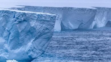 Photo of The Reagan-Era Iceberg That’s Finally Dying: 40 Years Adrift and Now Turning Blue Before Vanishing Forever!