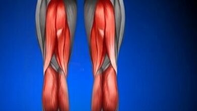 Photo of Study reveals that thick thighs save lives by reducing risk of cardiovascular and other diseases because fat in the lower body can act as a beneficial fat depot, while larger thigh muscle mass improves insulin sensitivity and overall metabolic health