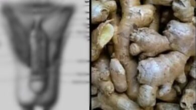 Photo of 17 Ordinary Foods That Secretly Boost Your Energy, Brainpower, and Long-Term Health