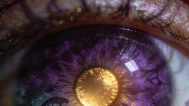 Photo of “You Won’t Believe This Tiny Spot in Your Eye – It’s a Complete Evolutionary Mystery!”