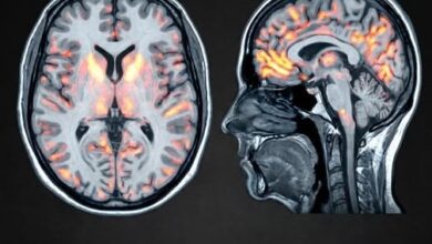 Photo of “This Simple Daily Habit Literally Rewires Your Brain for Happiness – Science Proves It!”