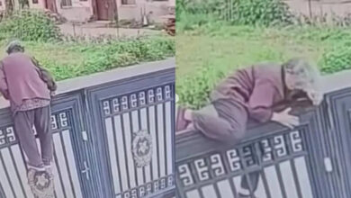 Photo of 92-Year-Old Grandma With Alzheimer’s Climbs 7-Foot Gate Like a Pro in Just 24 Seconds – Internet in Awe!