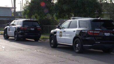 Photo of DOJ Says ICE Shooting Was Justified — But Family Autopsy Reveals Fatal Headshot