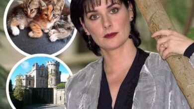 Photo of She Sold 80 Million Albums… But Hasn’t Left Her Castle in Decades