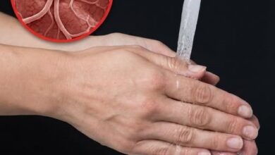 Photo of Your Wrinkly Fingers Aren’t From Water – It’s Your Brain’s Genius Grip Hack Revealed!