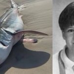 Photo of “Boy Loses Arm to Bull Shark — Uncle Drags Shark Onto Beach With Bare Hands”