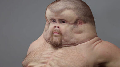 Photo of “This Is Graham – The Human Body Designed to Survive a Car Crash (And Why He’s So Unsettling)”