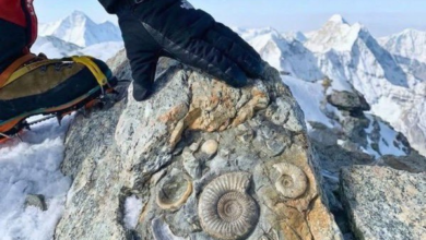 Photo of Mount Everest’s Summit Was Once the Ocean Floor – Fossils Prove It!