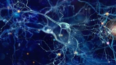 Photo of Scientists Just Discovered a Hidden Way Neurons Die – And It Could Explain Alzheimer’s, Parkinson’s & More