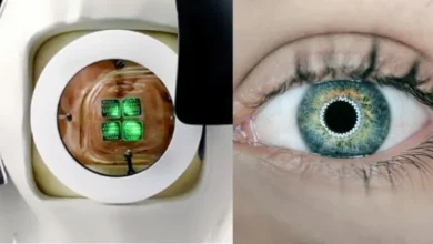 Photo of Blind No More? Scientists Implant World’s First Brain-Direct Bionic Eye — Human Trials Incoming!