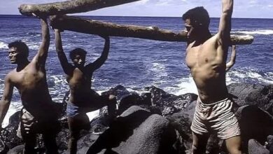 Photo of They Were Teens Stranded on a Desert Island for 15 Months – What They Did Instead of Fighting Will Blow Your Mind!