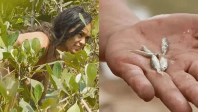 Photo of She Used Her Body as Bait — And Caught Fish Like Never Before on Naked and Afraid
