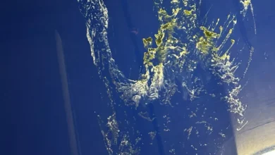 Photo of She Hid Rotting Seafood in His Car – He Drove with Windows Down for MONTHS Before Finding the Stink Bomb