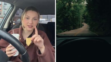 Photo of “Drivers, BEWARE! Clever Young Woman Is Taking Free Rides… Then Robbing Everyone Who Helps Her (Viral Photo Inside)”