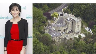 Photo of Enya Lives Alone in a Castle and Has Never Married—Her Reason Will Blow Your Mind
