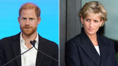 Photo of “I Don’t Want This Job: Prince Harry Reveals He Rejected Royalty After Princess Diana’s Death”