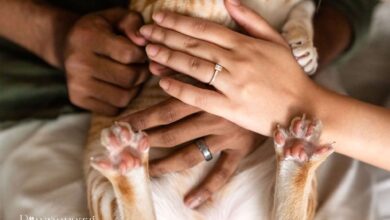 Photo of This Couple Showed True Love by Never Leaving Their Cat Behind – Viral Photo Touches Millions