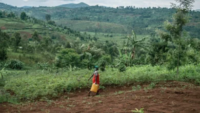 Photo of “Lessons Beyond the Lesson Plan: Nina’s Journey in Africa”