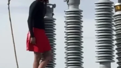 Photo of “Dangling from Power Lines: Dramatic Standoff at Rocky Mountain Power Substation in Salt Lake City”