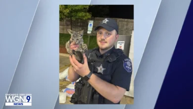 Photo of “1,000 Pounds of Ice Moved to Rescue One Tiny Kitten – Officers’ Incredible Act of Kindness Goes Viral”