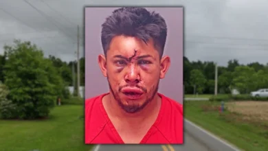 Photo of “13-Year-Old Punches Father Unconscious to Save Mother from Strangulation – Now a Viral Hero”