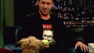 Photo of “The Heartwarming Reason Ryan Gosling Always Talked About His Dog George on Late Night TV”