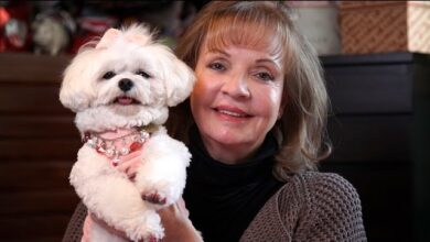 Photo of “Spanish Grandma Sparks Outrage by Leaving All Her Money to Her Dog Instead of Family”