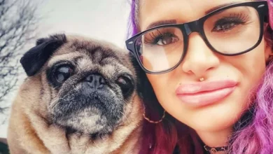 Photo of “Horrifying Moment: Starving Pugs Ate Their Owner After She Died Alone in Her Home”